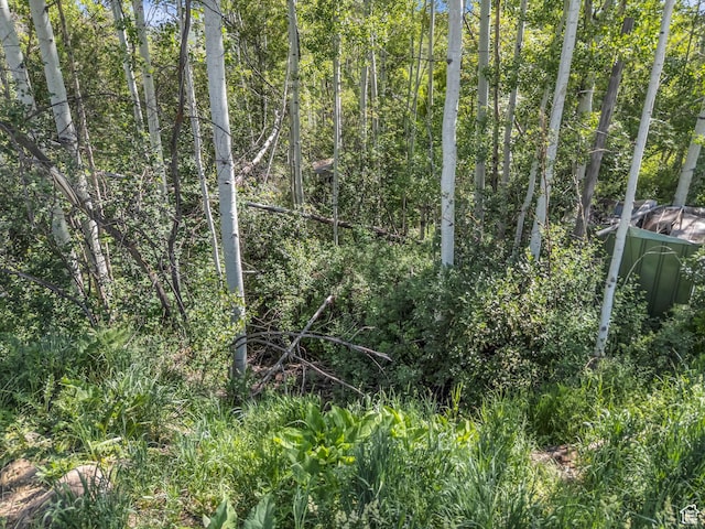 4482 S Aspen Hollow Rd, Woodland, UT 84036