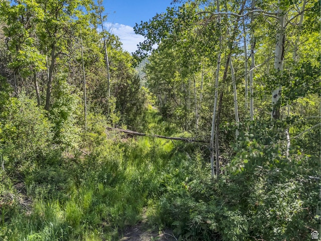 4482 S Aspen Hollow Rd, Woodland, UT 84036
