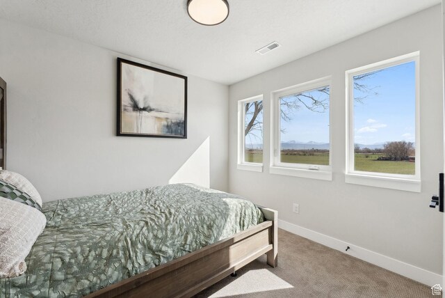 2612 S 8550 W, Magna, UT 84044 - bedroom with carpet flooring, visible vents, and baseboards