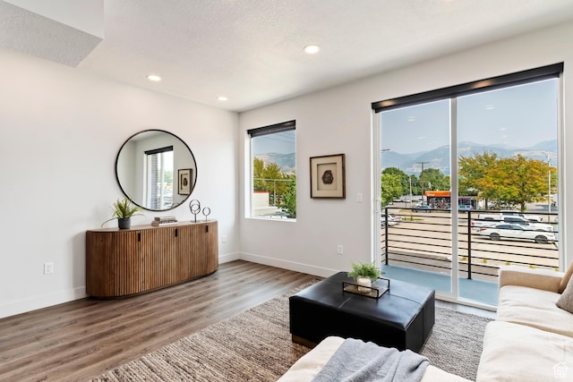 living area with wood finished floors, a mountain view, baseboards, and recessed lighting