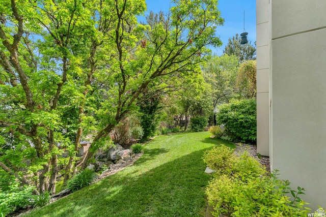 276 S 600 E, Alpine, UT 84004 - view of yard