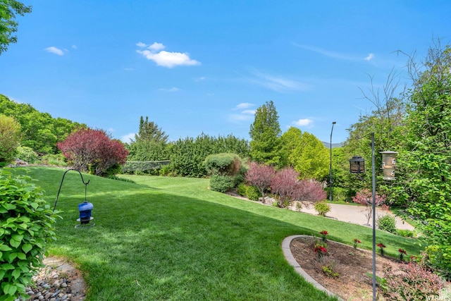 276 S 600 E, Alpine, UT 84004 - view of yard