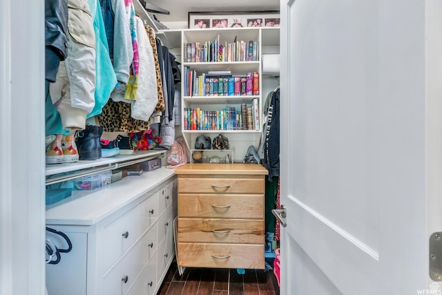 276 S 600 E, Alpine, UT 84004 - walk in closet featuring wood tiled floor
