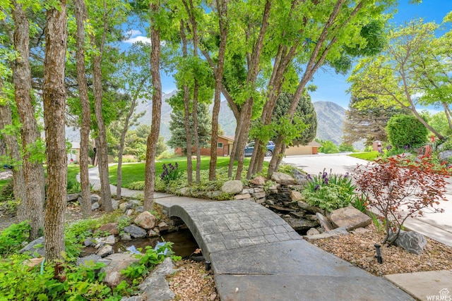 276 S 600 E, Alpine, UT 84004 - view of property's community featuring a yard and a mountain view