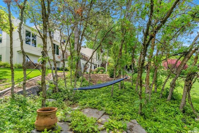276 S 600 E, Alpine, UT 84004 - view of yard