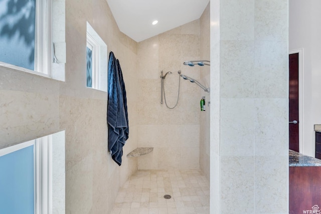 276 S 600 E, Alpine, UT 84004 - bathroom with tiled shower