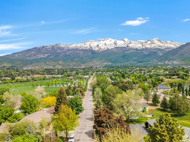 276 S 600 E, Alpine, UT 84004 - mountain view