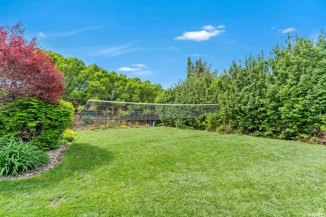 276 S 600 E, Alpine, UT 84004 - view of yard with volleyball court