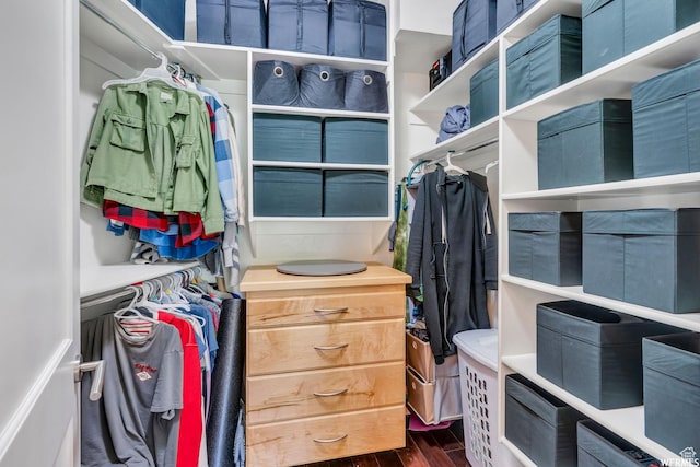 276 S 600 E, Alpine, UT 84004 - walk in closet featuring dark wood-style flooring
