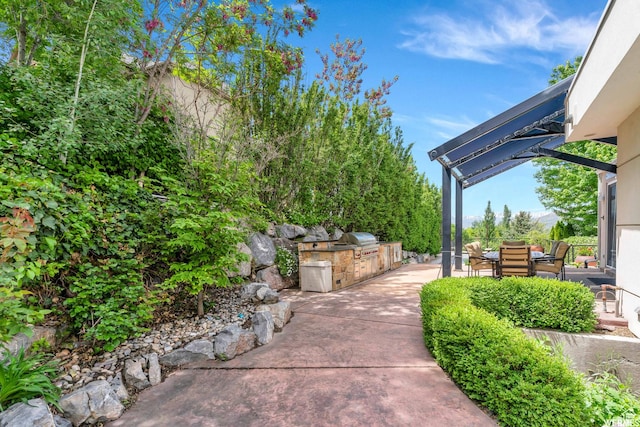 276 S 600 E, Alpine, UT 84004 - view of patio / terrace featuring a grill and an outdoor kitchen