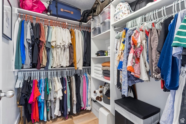 473 S 2400 W Unit 3, Springville, UT 84663 - walk in closet with wood finished floors