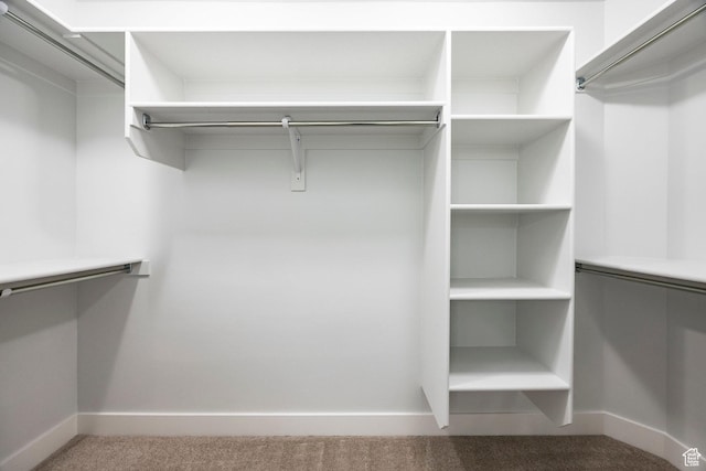 1629 N 3860 W, Lehi, UT 84043 - walk in closet featuring carpet