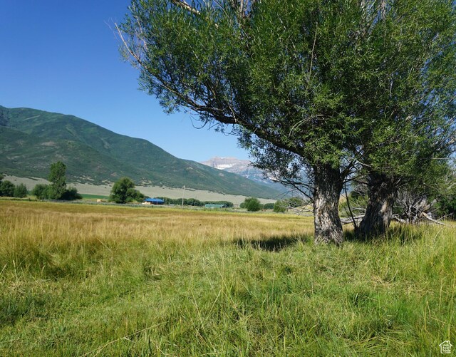 1570 W Main Rd, Wallsburg, UT 84082