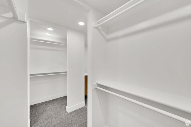 1289 E 31st St S, Ogden, UT 84403 - spacious closet featuring carpet flooring