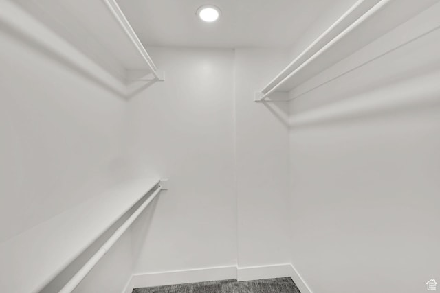 1289 E 31st St S, Ogden, UT 84403 - walk in closet featuring carpet flooring