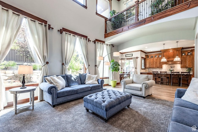 living area with baseboards, plenty of natural light, a high ceiling, and wood finished floors