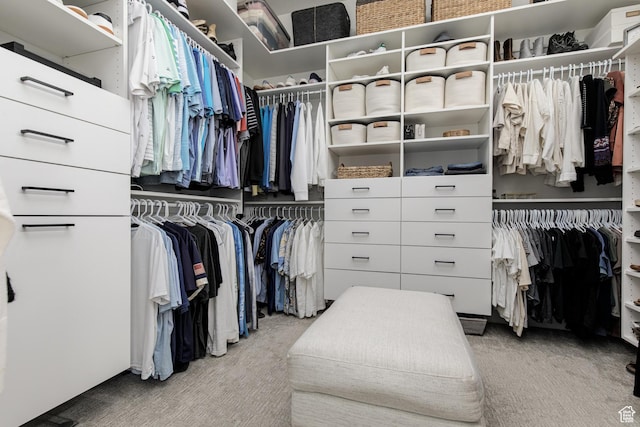 spacious closet featuring carpet