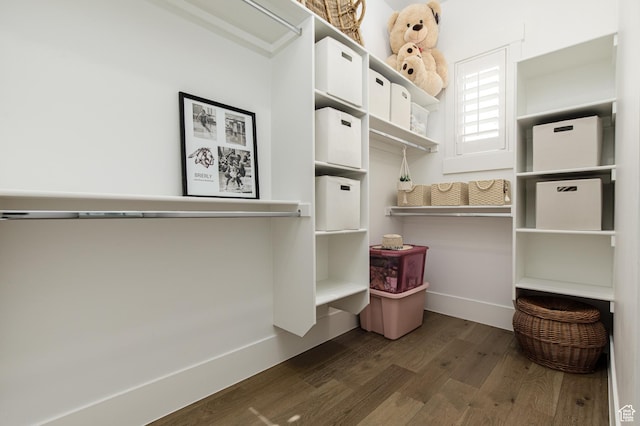 spacious closet with dark wood-style floors