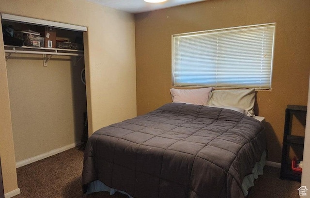 1989 W 1800 N, St George, UT 84770 - bedroom with carpet floors and a closet
