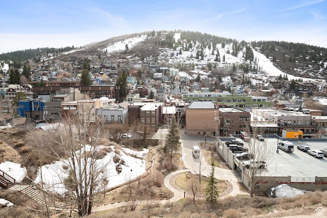 320 Marsac Ave, Park City, UT 84060 - mountain view