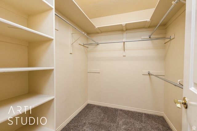 walk in closet with carpet