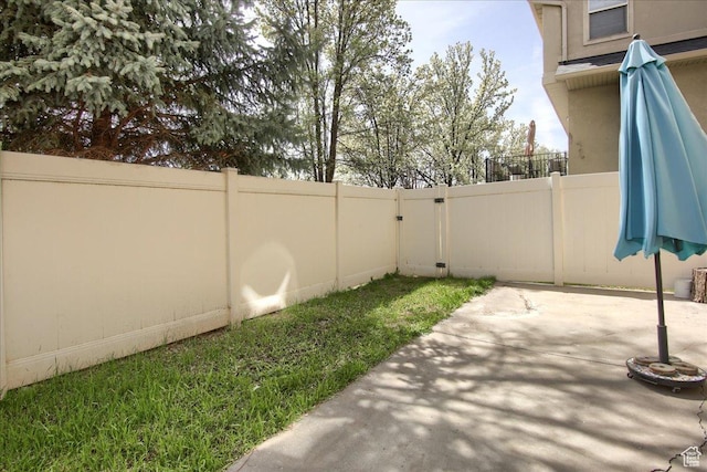 view of yard with a fenced backyard and a patio area