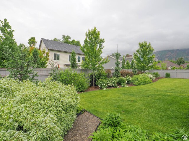 1979 E Olympus Point Dr, Holladay, UT 84117 - view of yard with fence