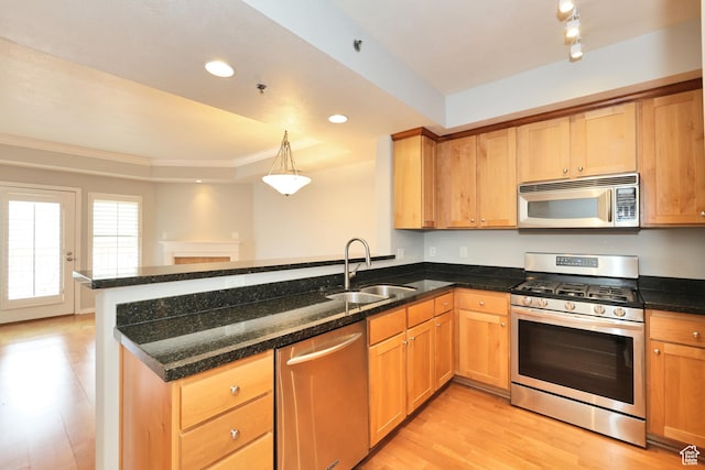 kitchen featuring crown molding, a tray ceiling, a peninsula, stainless steel appliances, and light wood finished floors
