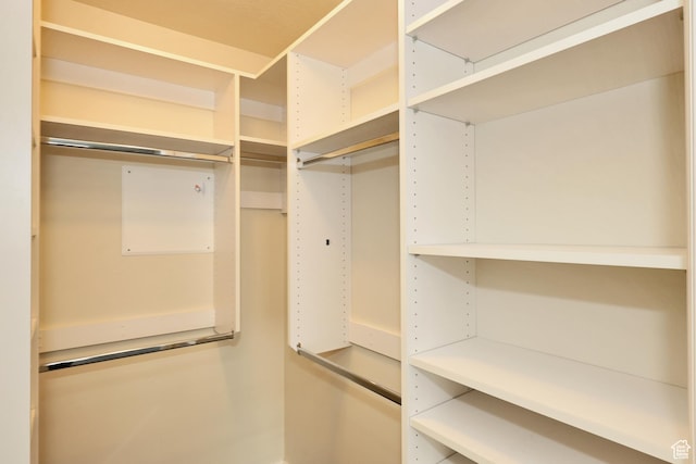 view of walk in closet