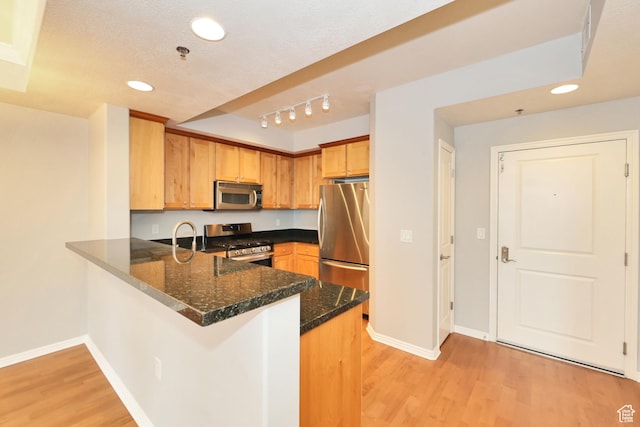 kitchen with a peninsula, light wood-style floors, baseboards, and stainless steel appliances