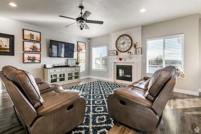 887 S 3050 W, Syracuse, UT 84075 - living area with healthy amount of natural light, ceiling fan, wood finished floors, baseboards, and recessed lighting