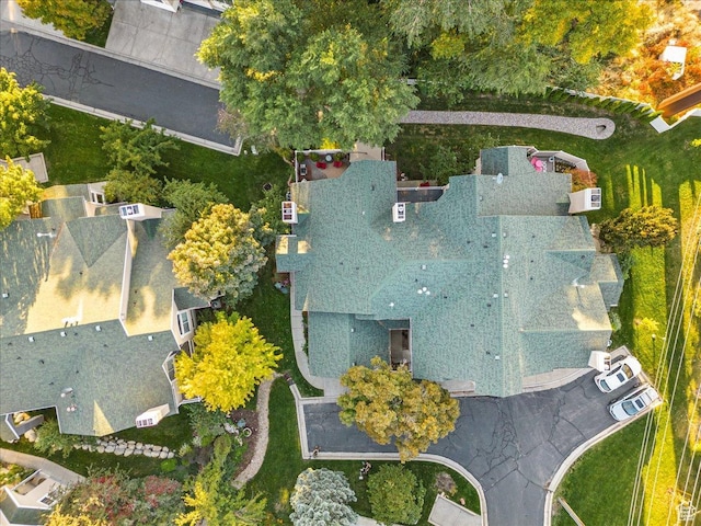 aerial view