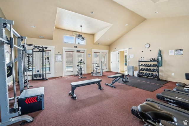 workout area featuring baseboards and high vaulted ceiling