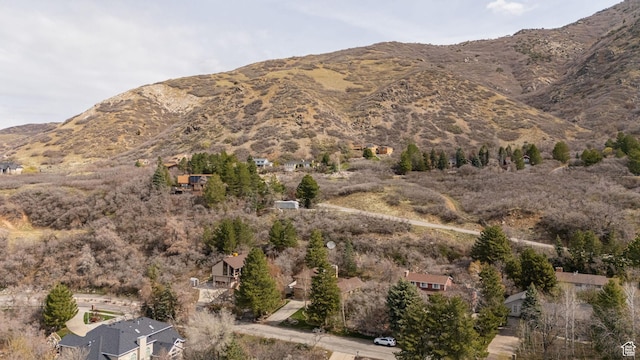 2406 Woodland Dr, Ogden, UT 84403 - mountain view