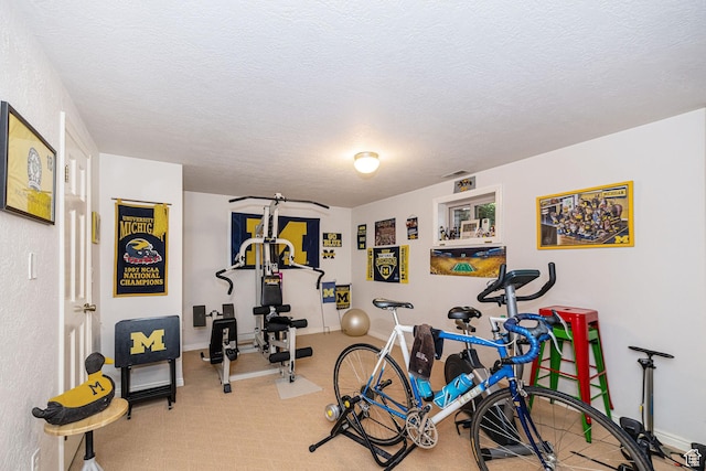 2406 Woodland Dr, Ogden, UT 84403 - workout room with carpet floors, baseboards, and a textured ceiling