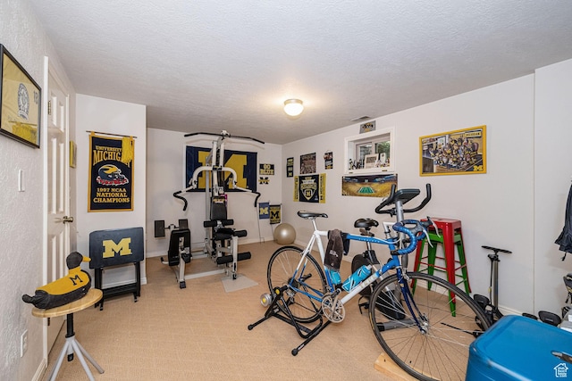 2406 Woodland Dr, Ogden, UT 84403 - exercise area featuring baseboards, carpet, and a textured ceiling