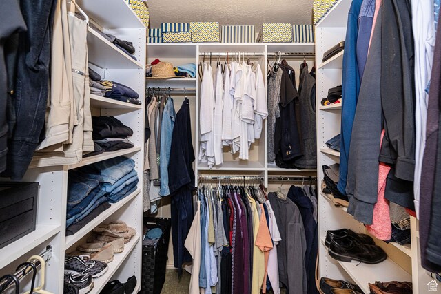 2406 Woodland Dr, Ogden, UT 84403 - view of spacious closet