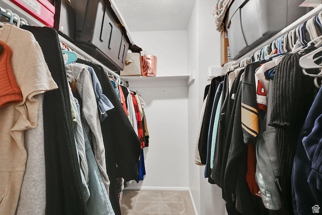 992 E 5625 S, South Ogden, UT 84405 - spacious closet with carpet flooring