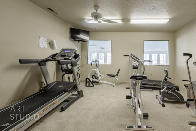 145 S Crystal Lakes Dr Unit 80, St George, UT 84770 - exercise area featuring carpet, a ceiling fan, and a textured ceiling