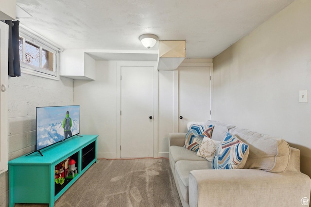 1240 E 520 S, Provo, UT 84606 - living area with carpet floors