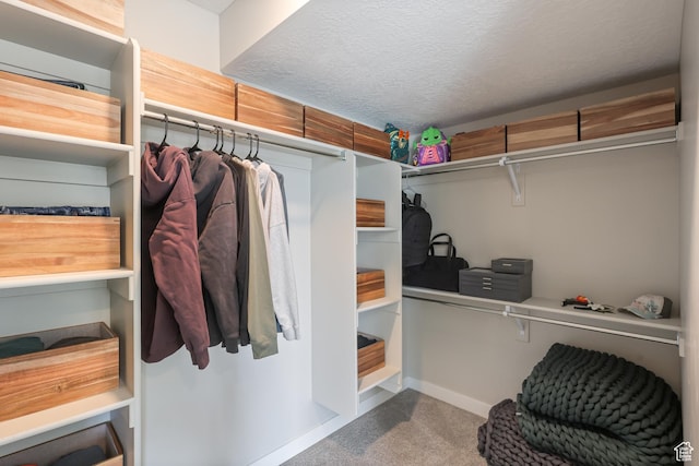 walk in closet with carpet