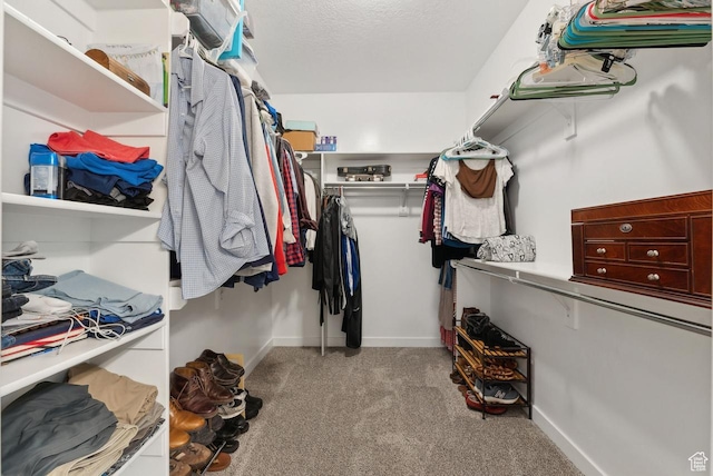 spacious closet with carpet flooring