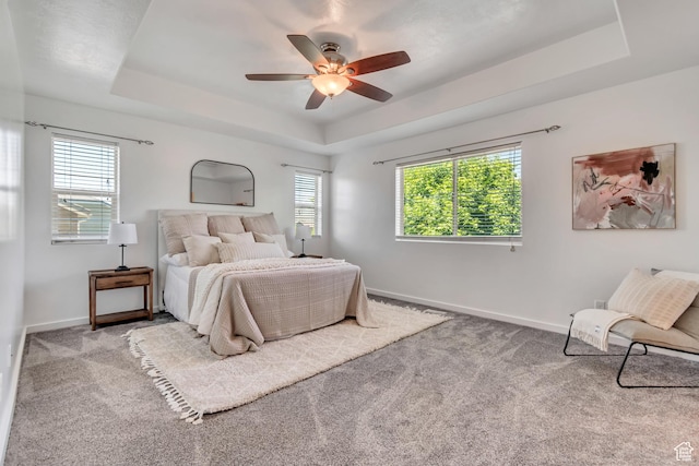 166 S 2035 W, Lehi, UT 84043 - bedroom with a tray ceiling, carpet floors, and baseboards