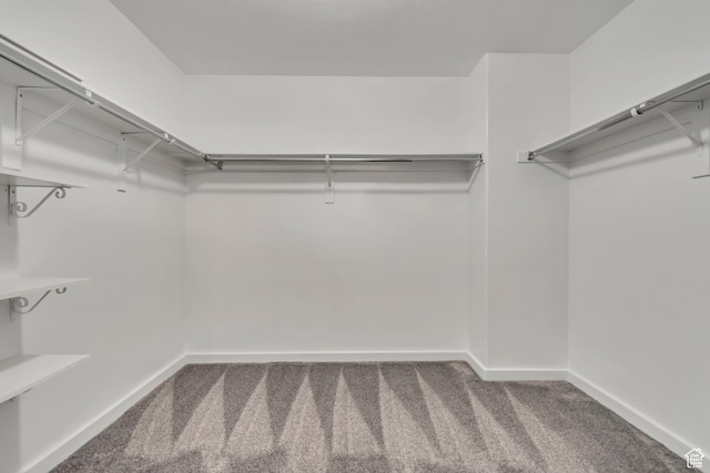 166 S 2035 W, Lehi, UT 84043 - walk in closet featuring carpet flooring