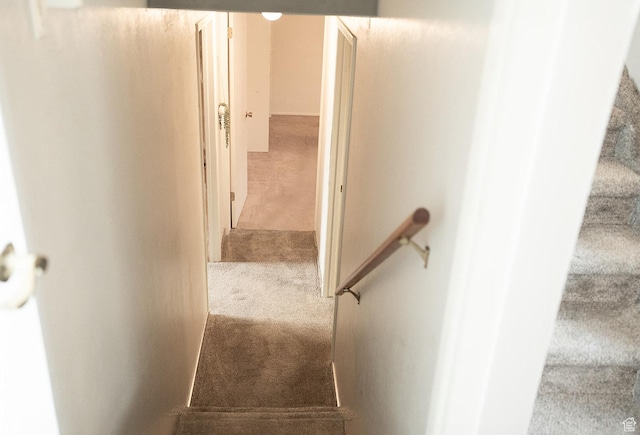 20 E 9n Cir N, American Fork, UT 84003 - stairway featuring carpet flooring