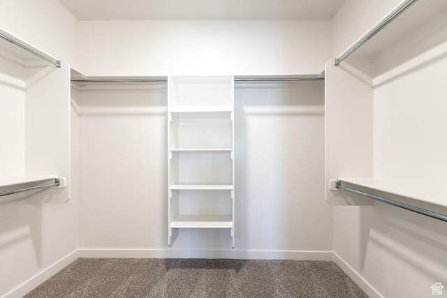 3782 S 4250 W Unit 429C, West Haven, UT 84401 - walk in closet featuring carpet
