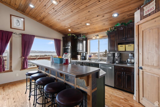 671 W Dee Dr, Garden City, UT 84028 - kitchen featuring a wealth of natural light, lofted ceiling, light wood-style flooring, and appliances with stainless steel finishes