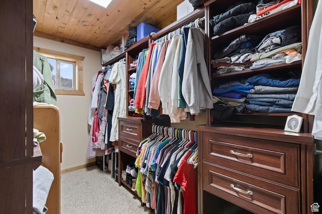 671 W Dee Dr, Garden City, UT 84028 - spacious closet featuring carpet flooring