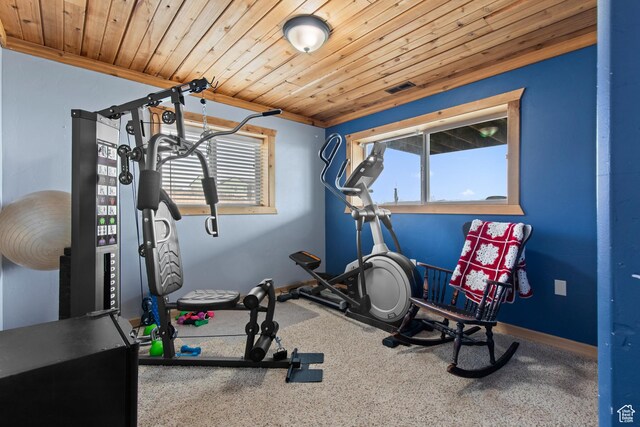 671 W Dee Dr, Garden City, UT 84028 - workout area with a wealth of natural light, visible vents, wood ceiling, and baseboards