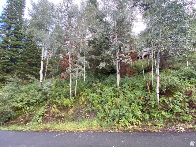 551 Red Fir Way Unit 551, Oakley, UT 84055
